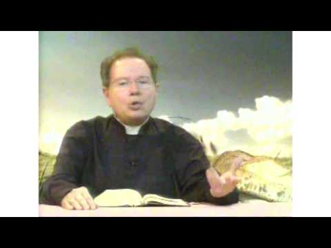 O Pão Nosso 29 Fevereiro 2016   -    Pe. F. C. Cardoso