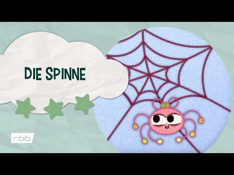 Meine Schmusedecke: Die Spinne | Unser Sandmännchen