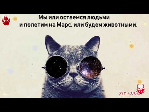 Dabro - Улетай на крыльях ветра Remix 2019