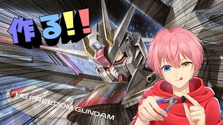 【年末年始だしルーレットで決めたのを作る】機動戦士ガンダムSEED【フリーダムガンダム】