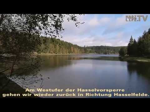 Eine Wanderung mit Hindernissen rund um die Hasselvorsperre