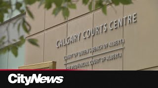 One of two brothers involved in Calgary bus operator attack sentenced