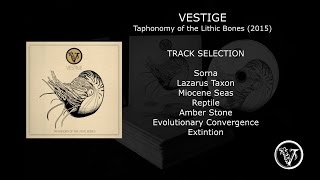 VESTIGE - Taphonomy of the Lithic Bones (2015) FULL ALBUM