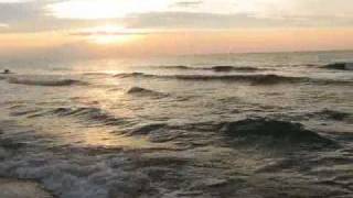 Wideo