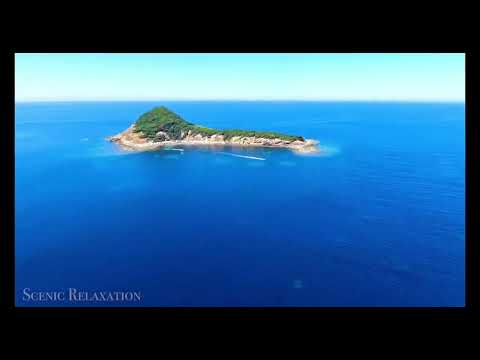 Habib NVPROD ALGERIA VIBE.  official music