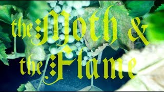 The Moth &amp; The Flame - Holy War (Official Video)