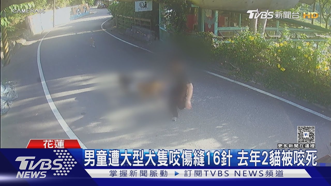 男童遭大型犬隻咬傷縫16針!去年2貓被咬死