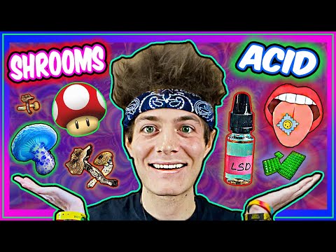 What SHROOMS vs ACID Feel Like: Differences & Similarities 🍄🌟