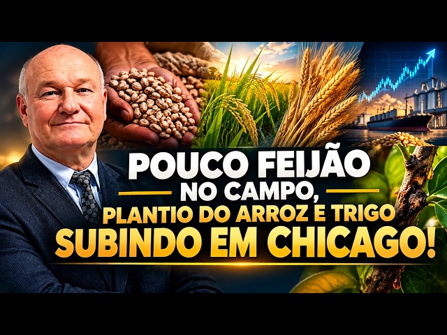 Pouco Feijão no Campo, Plantio do Arroz e Trigo Subindo em Chicago!
