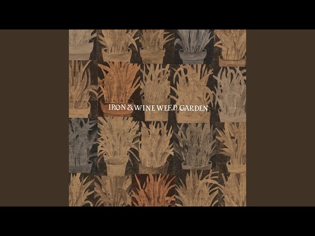 Descubre el estilo musical y las mejores canciones de Iron & Wine