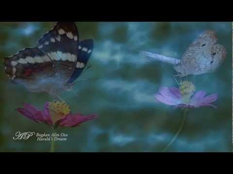 BOGDAN ALIN OTA - Harald's Dream