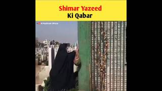 Shimar Yazeed Ki Qabar 🤬  #shorts #youtubeshort