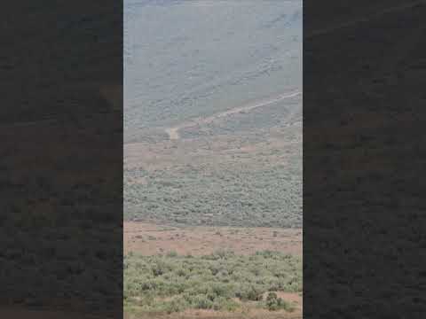 Springfield Armory REDLINE Model 2020