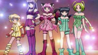 Team up Mew Mew Power