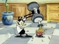 Jamal The Funny Frog Cartoons In Dentist