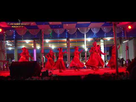 Dhale Dhale || SDA kids Dance || Nepali song dance || Srijoni Dance Academy Naokata