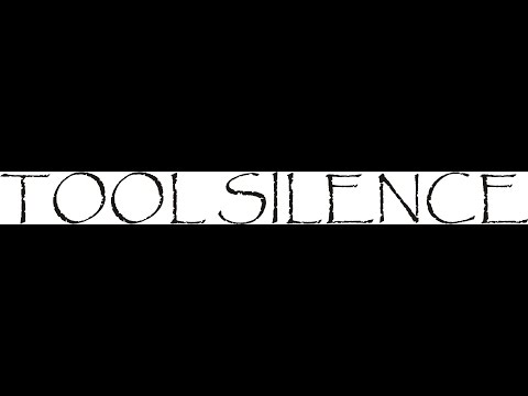 Intervista ai Tool Silence