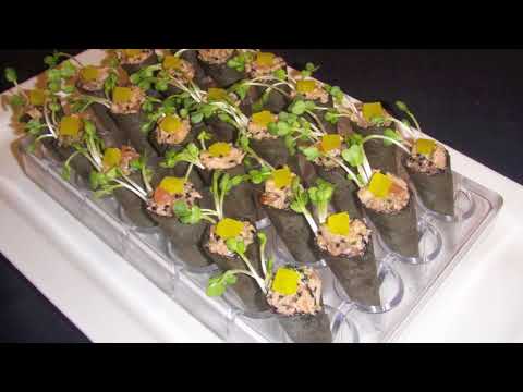 Renaissance Catering and Odd Monkey Events video.