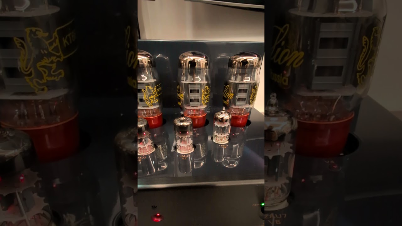 Audiophily Identity and Primaluna Evo 200