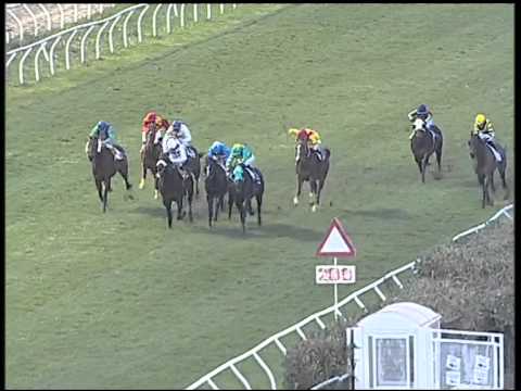 Galoppo 25/01/2015 - 5° corsa - Pr. Guido Ruffo  Della Scaletta