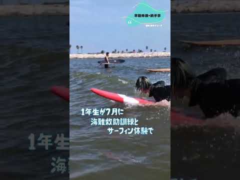 看護学科 【大学１年生】千葉科学大学の大学生活 銚子の海で体験する救助訓練で危機管理を楽しく学ぶ姿を公開#大学受験 #受験生 #勉強  #進学 #大学 #おすすめ大学 #news#shorts