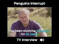 Penguin Interrupts TV Interview