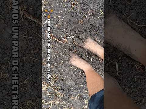 CöMPRé Ti€RRA$ CAMP€$TR€$👣#senderismo #supervivencia #deteccionmetalica