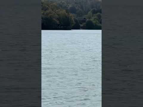 Jezero Vidara,Gradacac,1.9.'24.