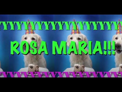 ¡FELIZ CUMPLEAÑOS ROSA MARIA! - Canción Loca de Cumpleaños
