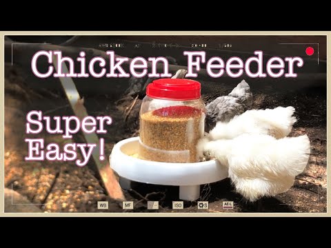 , title : 'DIY Easy Chicken Feeder (닭모이통 만들기)'