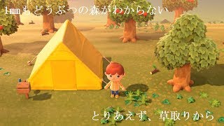 とりあえず、草取りから【どうぶつの森】