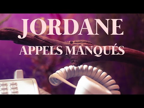 Appels manqués (lyric video officiel)