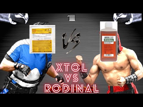 XTOL vs Rodinal