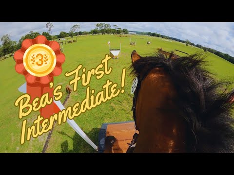 HELMET CAM: Lissavorra Quality (Open Intermediate | 2023 Ocala Summer I Horse Trials)