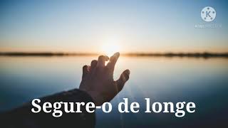 Mika - Staring at the sun( tradução ).