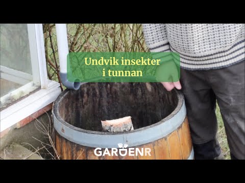 Undvik insekter i tunnan - Trädgårdshacks med GardenR