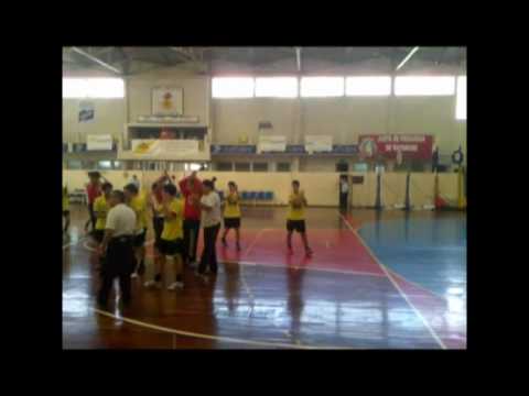 Festa dos juniores de Andebol @ 2010