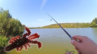 Силиконовые приманки для рыбалки на окуня рачки
