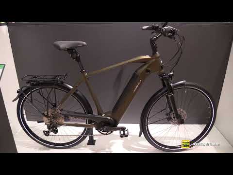 Great German Electric Bike !!! - 2023 Velo de Ville AEB 990 Smart Smooth
