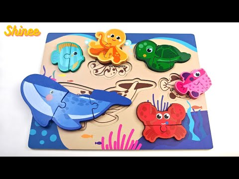 Learn Sea Animal Names and Fun Facts with Activity Puzzle | Preschool Learning Video for Toddlers