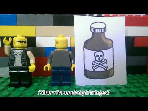 Shaban & Käptn Peng - Haus brennt [Stopmotion Musikvideo]