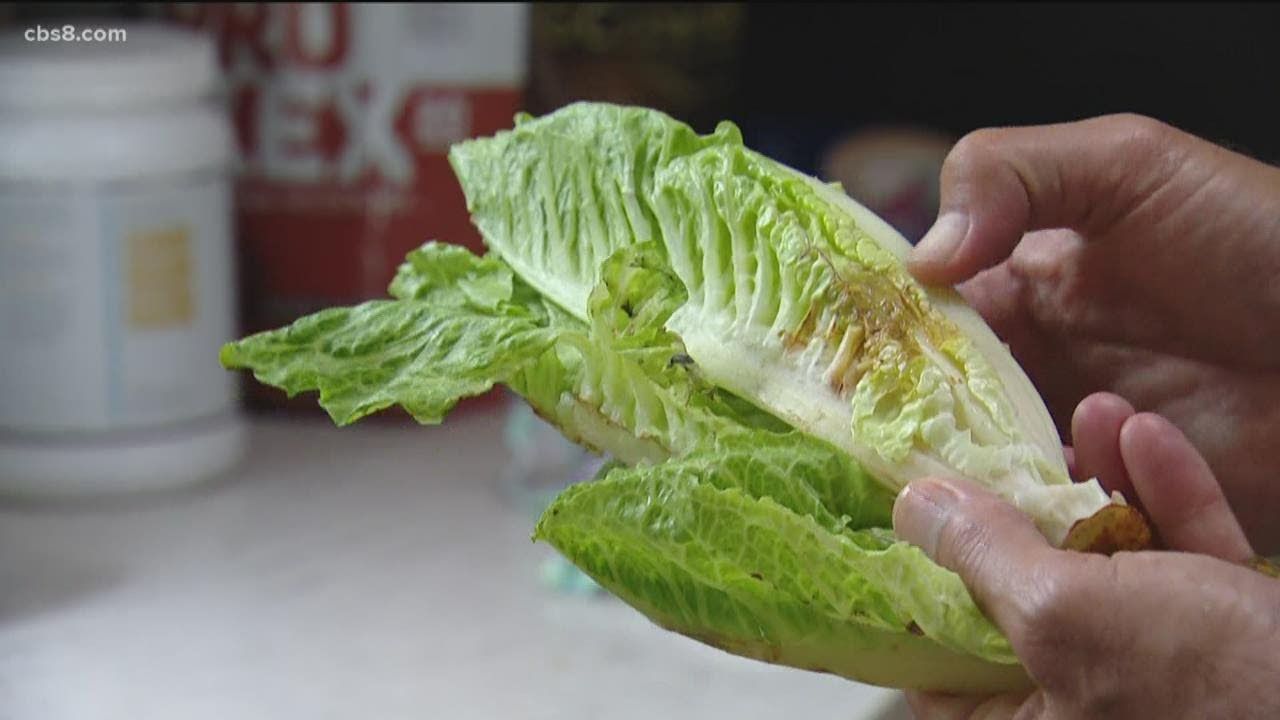 What this new California law means for your food scraps