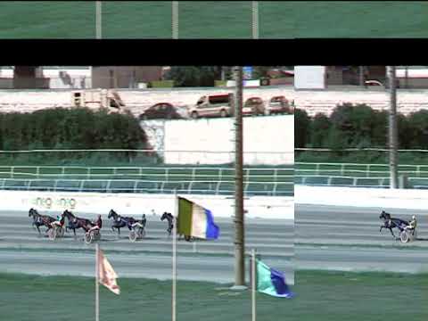 Trotto 21/09/2019 - 2ª prova di qualifica