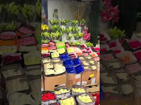 Azucena wholesale flowers