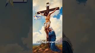 Download lagu Viyagula Mamariye song #vinmeenmusictv #madhasongsintamil #christianwhatsappstatus #catholicprayer mp3 Download lagu Viyagula Mamariye song #vinmeenmusictv #madhasongsintamil #christianwhatsappstatus #catholicprayer mp3