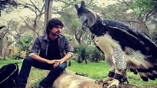 Re: [問卦] 奇美拉要用哪三種動物合成比較強？