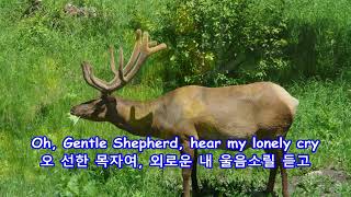 Oh, Gentle Shepherd - Jim Reeves: with Lyrics(가사번역)|| 오, 선한 목자|| Rocky Mountain National Park , 2014