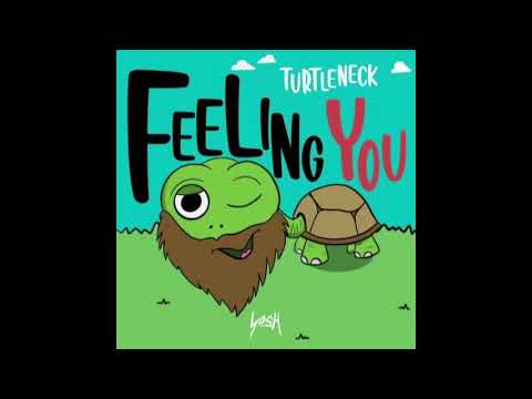 Turtleneck - Feeling You (Original Mix - 2020)