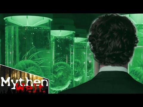 5 Zeitreisende, die uns von der Zukunft erzählten!