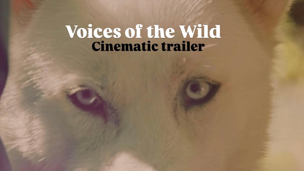 Screen test : A Cinematic Zoo Film | Nat Geo–Style Wildlife Trailer || Use Headphones 